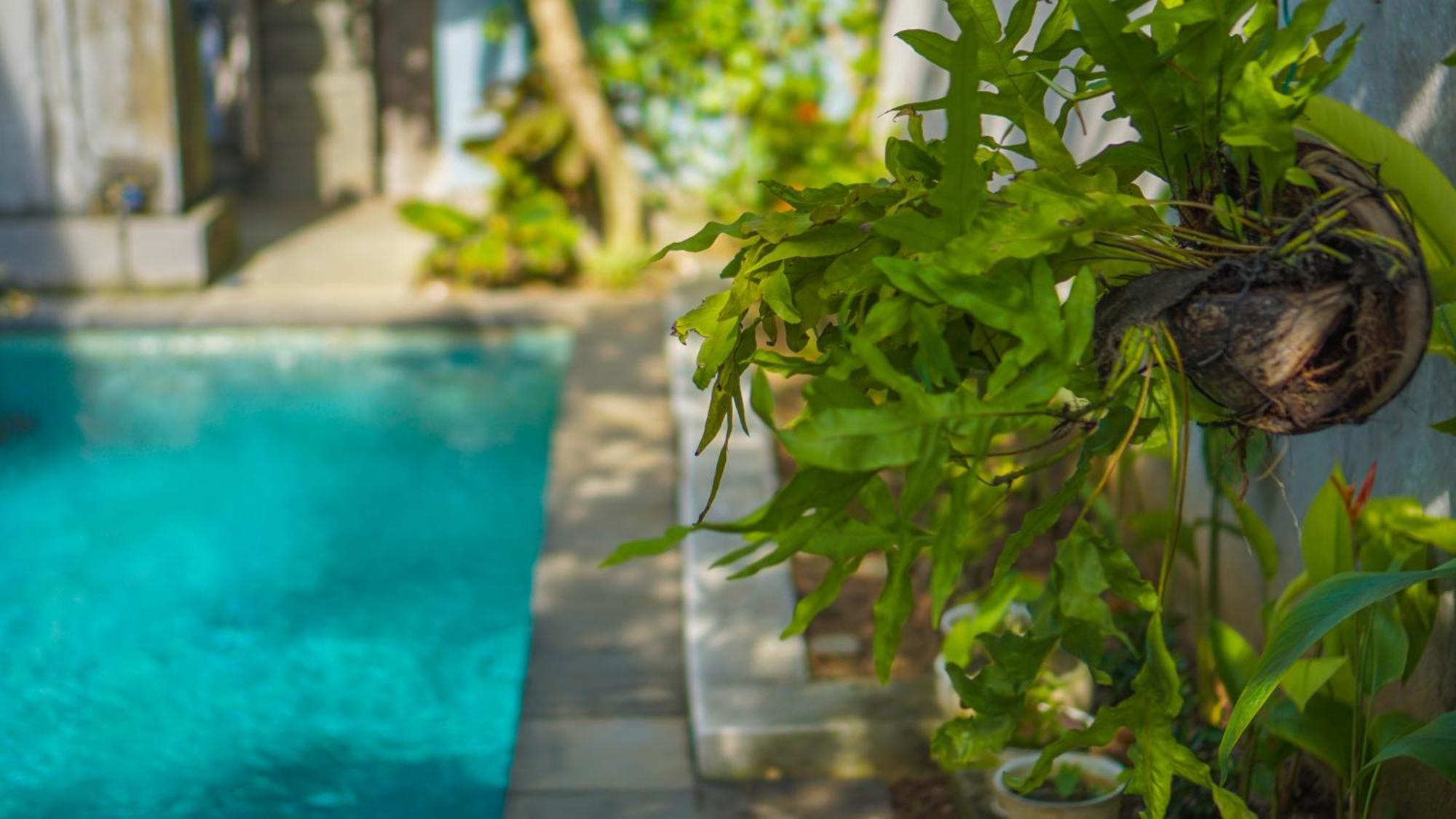 Dirga'S House Sanur View By Eps Ξενοδοχείο Εξωτερικό φωτογραφία